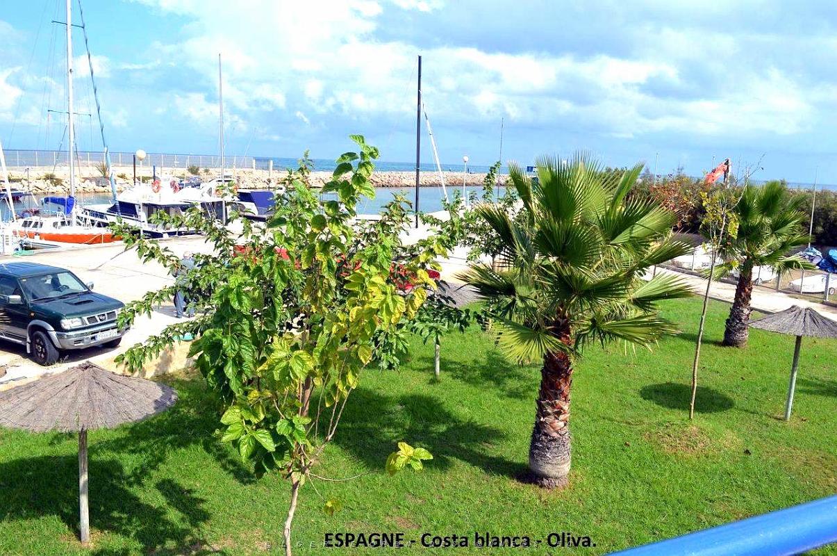 205- Oliva.JPG